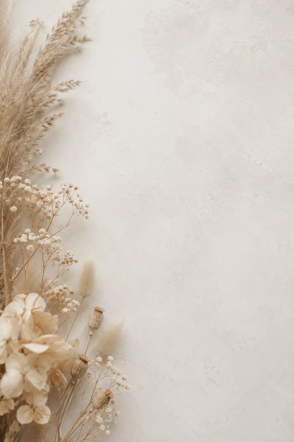 Gallery Background